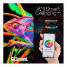 Commel LED smart Wifi ceiling lamp 26cm, 12W