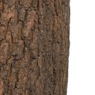 Forrest virágtartó 4 db-os szett