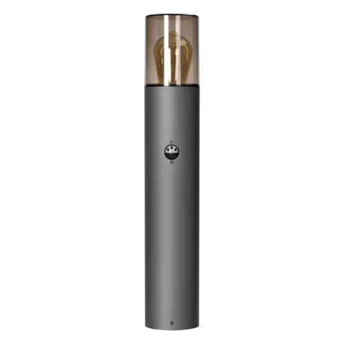 Adviti salvia outdoor standing lamp metal IP54 grey E27 50cm with motion sensor