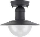 Avide Outdoor Ceiling Light Imperial 1xE27 IP44 Anthracite