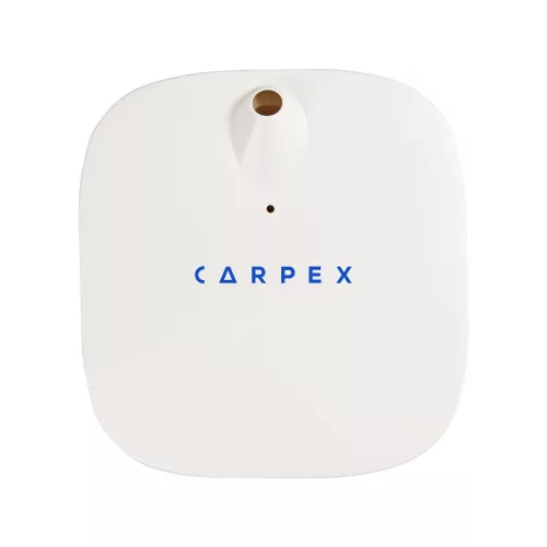 Carpex Diffuser Starter Kit 50 ml with Basil Citrus Fragrance