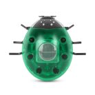 Entac Kerti Szolár Lámpa Katicabogár, 14.5x12x6cm, 6db SMD LED, zöld