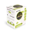 Entac Kerti Szolár Lámpa, Madár alakú, 1.5m LED zsinór, 5db WW LED