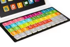 Mágneses fa tablet számokkal