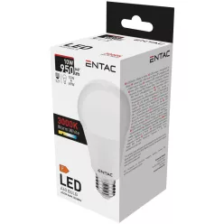 Entac LED Globe E27 10W WW 3000K