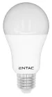 Entac LED Globe E27 12W WW 3000K
