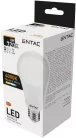 Entac LED Globe E27 15W NW 4000K