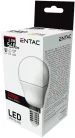 Entac LED Mini Globe E14 6,5W WW 3000K