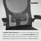 Flexo ergonomikus irodai forgószék deréktámasszal