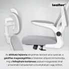 Flexo ergonomikus irodai forgószék deréktámasszal