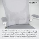 Flexo ergonomikus irodai forgószék deréktámasszal