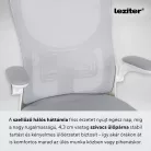 Flexo ergonomikus irodai forgószék deréktámasszal